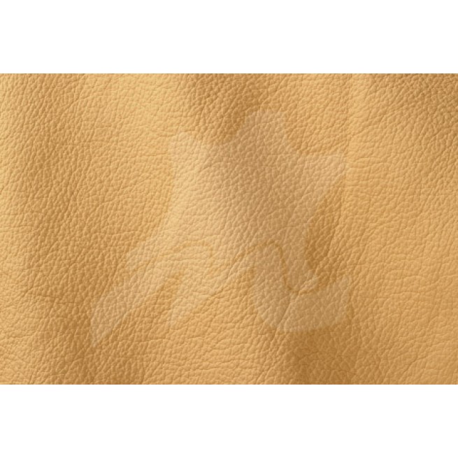 Aligo Group фото
